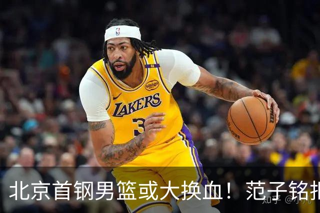 北京首钢男篮或大换血！范子铭拒绝离开，赵睿表态，三外援明朗