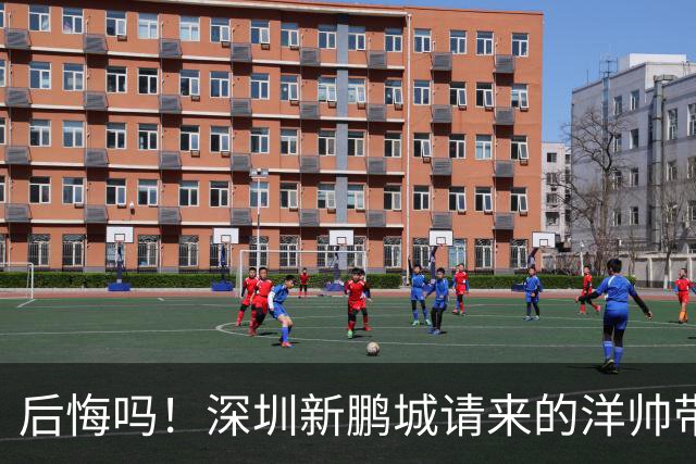 后悔吗！深圳新鹏城请来的洋帅带队战绩还不如陈涛，未来急需爆发